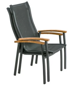 Dehner Stapelstuhl Chicago Wood 10 Dehner Stapelstuhl Chicago Wood -Garten Moebel Haus Geschaft 6701866 WE FS 003 StapelstuhlChicagoWoodNEU