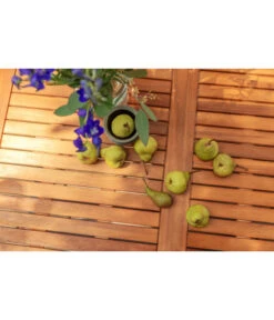 Dehner Klapptisch Tegernsee -Garten Moebel Haus Geschaft 6708184 WE DE 002 TischTegernsee