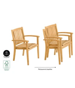 Dehner Stapelsessel Havanna 11 Dehner Stapelsessel Havanna -Garten Moebel Haus Geschaft 6708309 WE IG 001 StapelstuhlHavanna